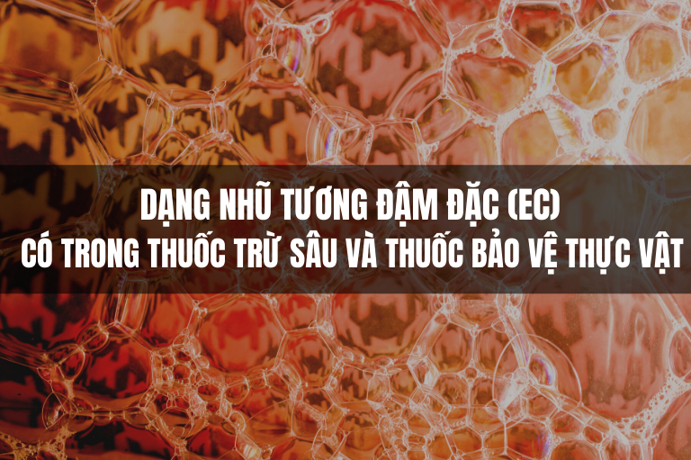 Dạng nhũ tương đậm đặc (EC) trong thuốc trừ sâu, thuốc BVTV
